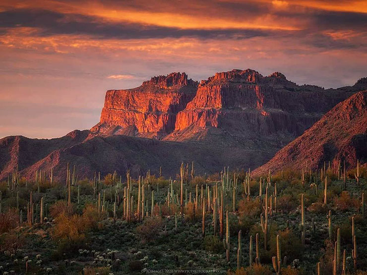 2. Sa mạc Sonoran, Mỹ và Mexico

Sa mạc Sonoran là một khu vực rộng lớn với khí hậu, địa chất, thảm thực vật và động vật hoang dã đặc biệt. Xương rồng saguaro là loài cây mang tính biểu tượng của nơi này. Có rất nhiều động vật hoang dã như thằn lằn, rùa cạn, bò cạp, sói, linh miêu… sống tại đây.
