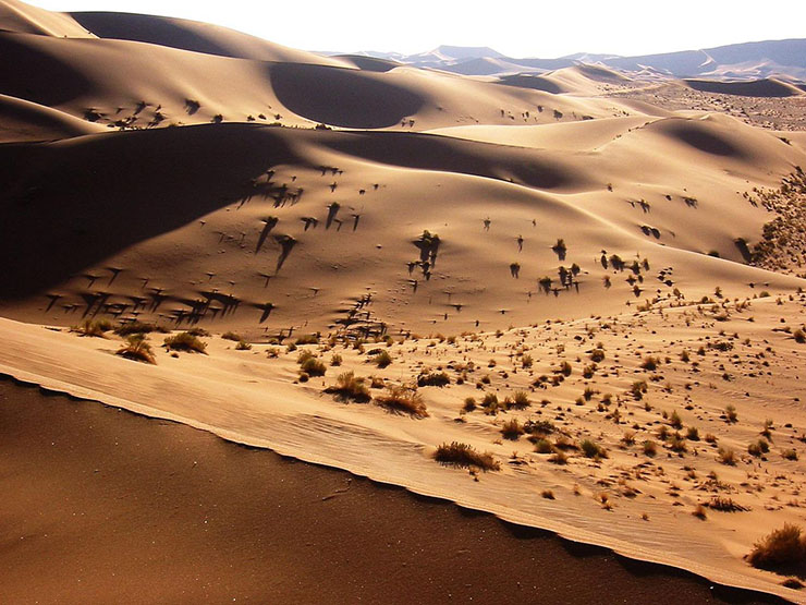 9. Sa mạc Namib, Namibia

Cảnh quan của sa mạc này chủ yếu là cát, đá và những vách núi trải dài. Nơi đây tiếp giáp với bờ biển Skeleton, nổi tiếng với những vụ đắm tàu do sóng biển mạnh và sương mù dày đặc. Sương mù phần nào khiến cho một phần sa mạc khô cằn gần đó có sự sống hơn.
