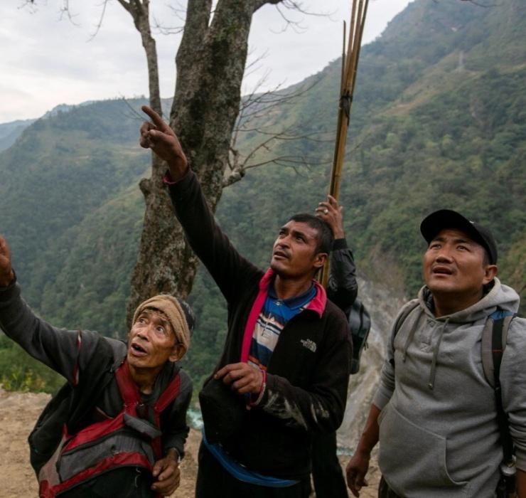 Trong trạng thái lơ lửng trên không, những người thợ săn mật ong ở Nepal sẽ đổ mật ong lấy từ vách đá vào thùng chứa sau khi thu hoạch (Nguồn: AP).
