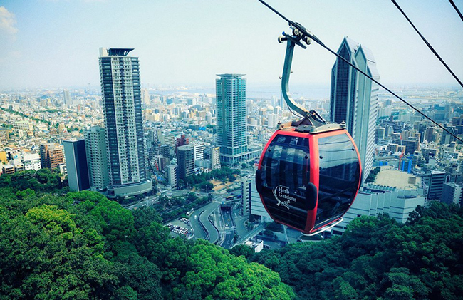 Shin-Kobe Ropeway là 1 trong 3 dịch vụ cáp treo ở Kobe đưa du khách lên sườn phía nam của dãy núi Rokko. Lên cao hơn một chút, cáp treo sẽ băng qua thác Nunobiki và vườn thảo mộc Nunobiki Kobe, mang đến cho du khách một khung cảnh thiên nhiên tuyệt vời từ trên cao.&nbsp;
