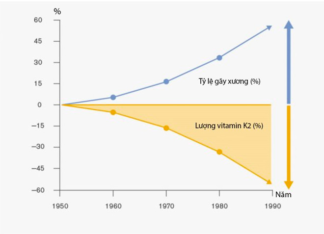 Không chỉ trẻ em, đây là 3 nhóm đối tượng cần bổ sung ngay vitamin K2 để &#34;xương chắc, dáng cao&#34; - 2