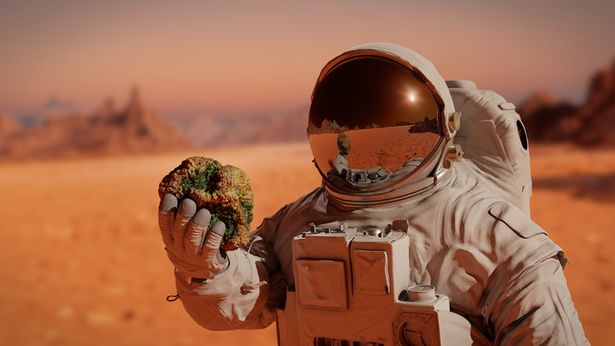 Tỉ phú Elon Musk nói cuộc sống trên sao Hỏa sẽ không hề dễ dàng.