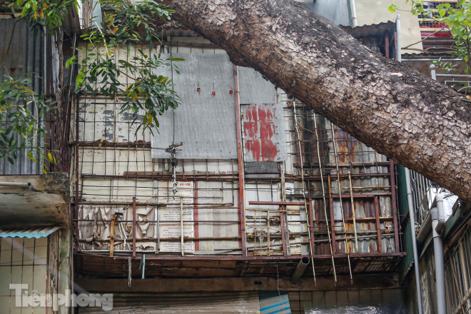 Cold people with "tiger cage"  A fire broke out in the dormitory, killing 5 people - 9