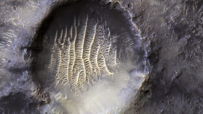 NASA publishes fingerprint images on another planet - 1