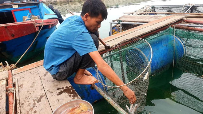 Theo những chủ nhà hàng nơi đây, mực nhảy ngon nhất khi vừa vớt lên từ lồng nuôi, rửa sạch để nguyên con đem luộc, hấp bia, hoặc kho gừng. Vị ngọt và béo, độ giòn của con mực còn tươi nguyên khiến mực nhảy Vũng Áng không thể lẫn với mực vùng khác.