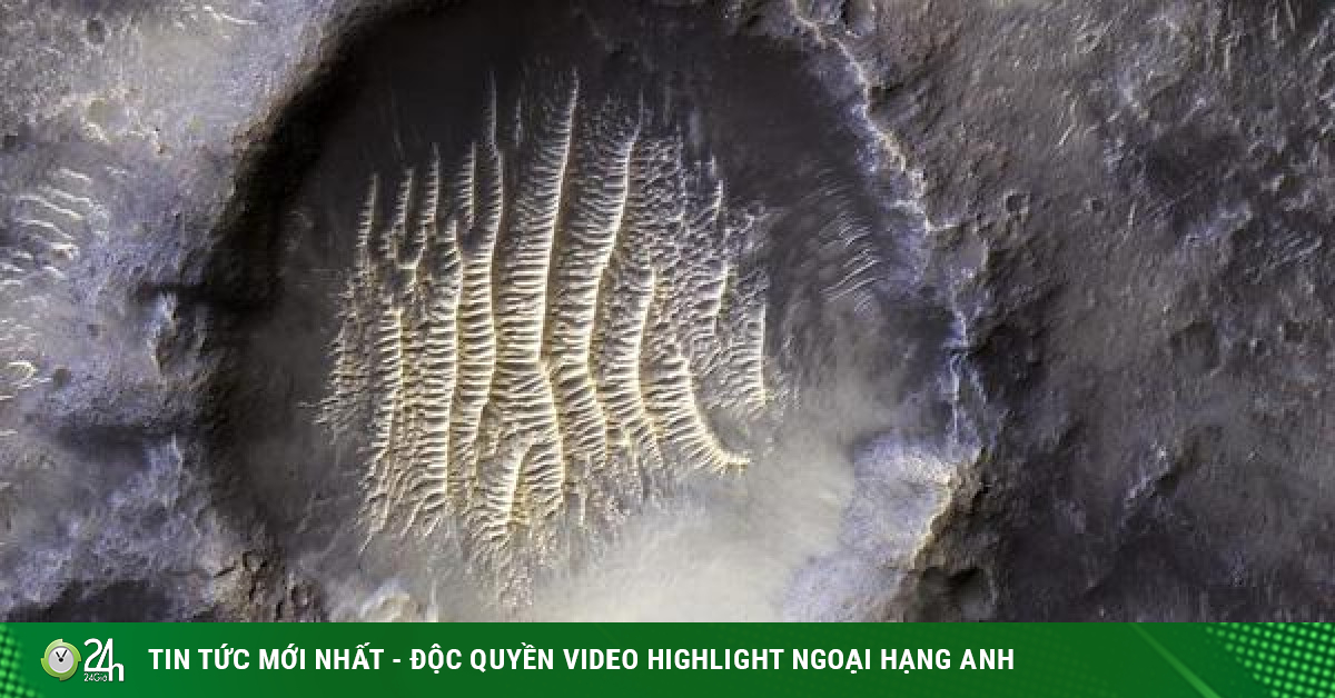 NASA publishes fingerprint images on other planets-Information Technology