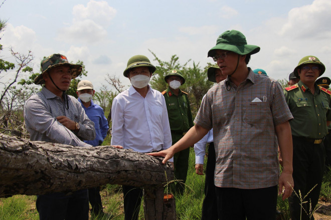 Bí thư Tỉnh ủy Đắk Lắk Nguyễn Đình Trung kiểm tra hiện trường vụ phá rừng