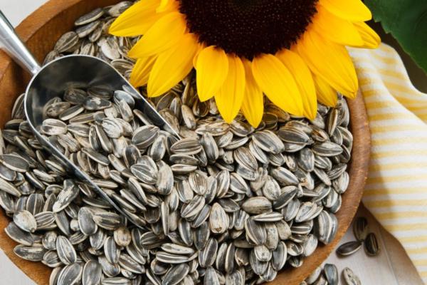 Sunflower seeds are good for health, but eating too much can cause " side effects"  this horror - 3
