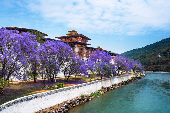 “Bất cứ khi nào ai hỏi tôi Bhutan là như thế nào, tôi đều thấy cách tốt nhất để mô tả nó giống như Narnia: nó rất xa xôi và không giống bất kỳ nơi nào khác trên Trái đất mà tôi đã đến thăm. Và tôi mong họ đến thăm trước khi quá muộn, trước khi tất cả chắc chắn thay đổi.' Nhiếp ảnh gia Margot Raggett - người đã chụp bộ ảnh này chia sẻ. 
