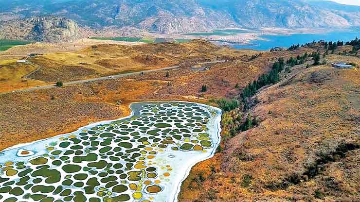 5. Những vũng nước nhỏ trong hồ Spotted là kết quả của việc nồng độ các khoáng chất tăng cao bao gồm canxi, natri sunphat và magie sunphat tích tụ trong nước.&nbsp;
