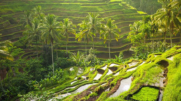 7. Đây không phải là phí vào cửa, nếu bạn đến sớm trước khi có người dân địa phương tới thì không phải trả phí này. Tuy nhiên, đây chỉ là một khoản quyên góp cho người dân địa phương, tùy vào lòng hảo tâm của bạn.
