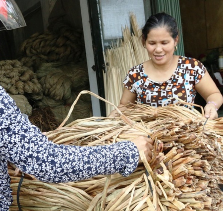 Bên cạnh bã mía, củi trấu thì bèo tây cũng là 1 trong những loại cây ngỡ bỏ đi, ai dè chính là bước đệm đổi đời cho người nông dân.
