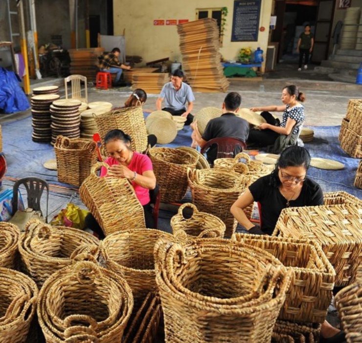 Tại tỉnh Ninh Bình, đan bèo tây thành đồ thủ công mỹ nghệ để xuất khẩu là một nghề rất phổ biến, mang lại thu nhập ổn định.
