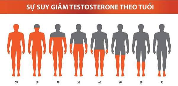 Nồng độ testosterone ở nam giới giảm dần theo tuổi tác.