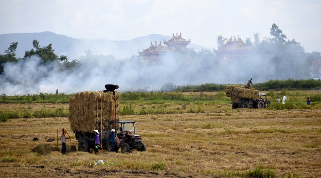 Vẻ đẹp huyền ảo mùa đốt đồng ở Bình Định - 6