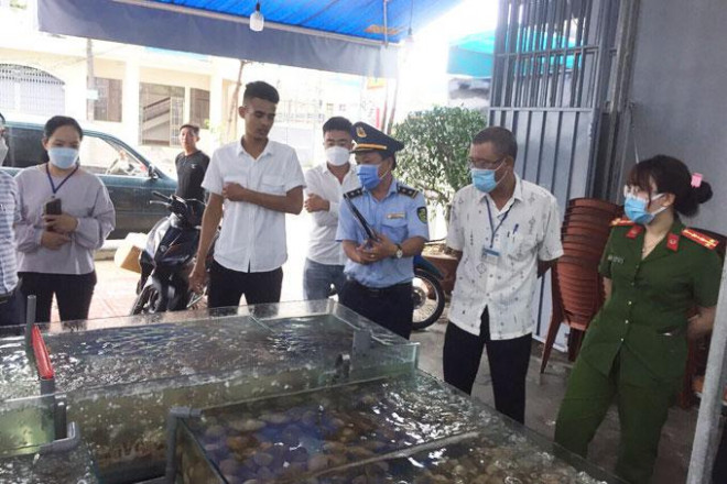 Cơ quan chức năng kiểm tra quán Cô Sương, liên quan hóa đơn hải sản 42 triệu đồng ở Nha Trang - ảnh: CTV