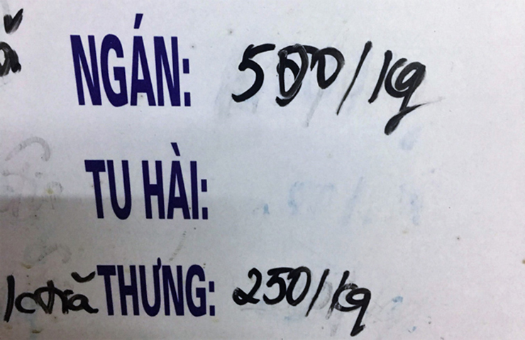 Mỗi kg ngán có giá dao động 250.000 – 500.000 đồng/kg tùy kích thước
