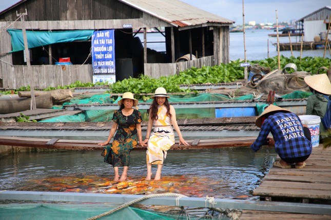 Ông Bon thành công với ý tưởng nuôi cá lồng bè kết hợp du lịch. Ảnh: Nhật Huy.