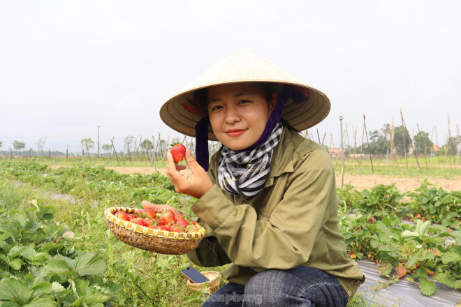 “Khi đến đây, tất cả chỉ là một bãi đất bỏ hoang, dân chỉ dùng để chăn trâu, thả bò. Ở đây mình chủ yếu trồng rau, củ, quả... ngoài ra còn xây dựng thêm quán cafe, các khu check in cho giới trẻ sống ảo và điểm nướng BBQ ngoài trời cho khách ghé thăm”, chị Hằng chia sẻ.