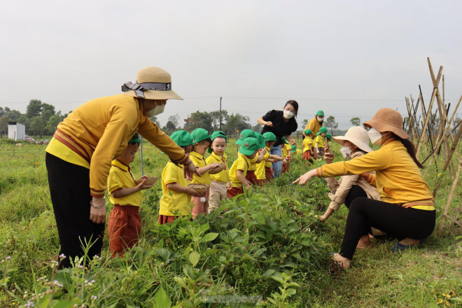 Hiện tại “Nàng thơ của đất” đã có được một lượng khách “ruột” đông đảo, chủ yếu là những người quen ủng hộ dài lâu. Ngoài ra nông sản cũng được phân phối tới các nhà bán lẻ ở Hà Tĩnh.