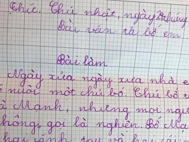 Bài văn tả ông bố xấu tính làm dân mạng cười ngất: Suốt ngày đo giường, nhà ai mất cái gì cũng sang hỏi bố em