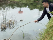 Tin tức trong ngày - Lập đoàn kiểm tra nguyên nhân cá chết hàng loạt trên sông Bàu Giang