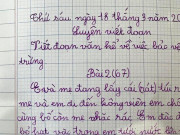 Giáo dục - du học - Bé gái tiểu học làm văn kể về việc làm bảo vệ môi trường gây sốt cộng đồng mạng