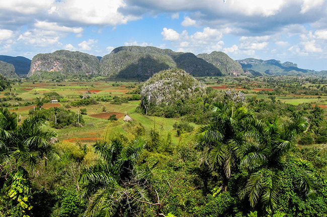 Viñales là một trong những nơi tuyệt vời nhất với cảnh quan thiên nhiên tuyệt vời ở Cuba. Đừng bỏ lỡ cơ hội trải nghiệm một thung lũng xanh tươi, nơi cuộc sống nông thôn vẫn đang diễn ra chậm rãi trong những đồn điền trồng mía và chuối.

