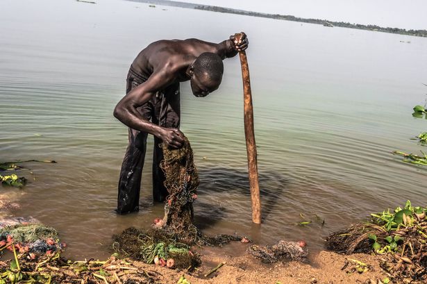 Khu vực ven hồ Victoria ở Kenya.