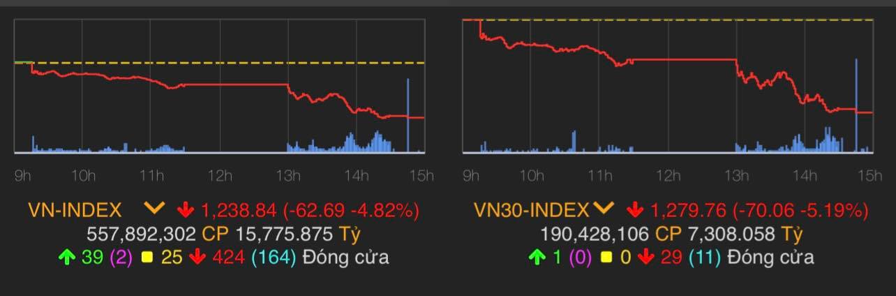 VN-Index giảm 62,69 điểm (4,82%) còn 1.238,84 điểm.