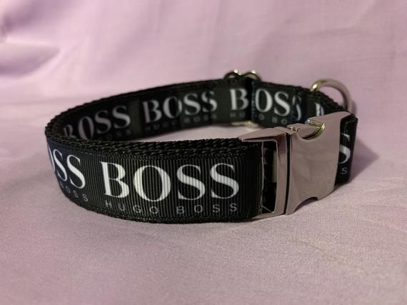 Hugo Boss thiết kế quần áo và phụ kiện cho thú cưng - 4