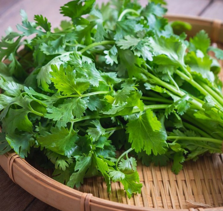 Không chỉ riêng rau muống, rau mùi - loại rau gia vị giá rẻ thường được ăn kèm trong các bữa ăn hàng ngày tại Việt Nam cũng được bán với giá đắt không kém ở nước ngoài.
