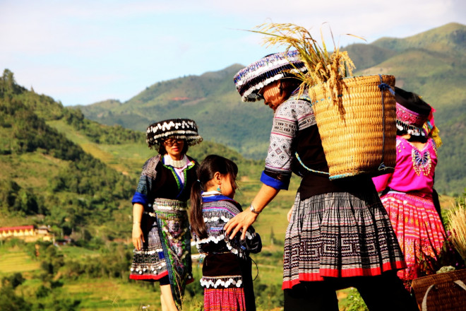 Mê mải mùa vàng ở La Pán Tẩn - 4