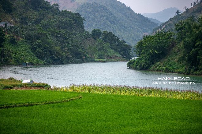 Đằng sau là ruộng lúa thơm ngát, trước mặt là hồ rộng mênh mông. Đó là điểm hạ trại lý tưởng của 2 vợ chồng