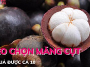 Ẩm thực - Mẹo chọn măng cụt 10 quả ngon cả 10