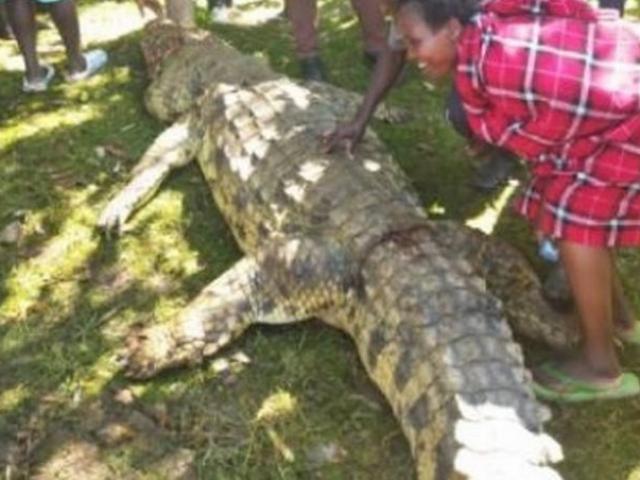 Kenya: Cá sấu khổng lồ ăn thịt bé trai, dân làng giận dữ vây bắt, trút cơn thịnh nộ