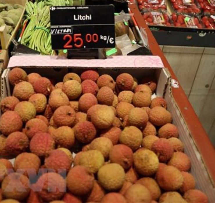 Ban đầu, chủ doanh nghiệp còn e ngại khi vải thiều Việt Nam có giá bán cao hơn so với các loại trái cây khác 25euro/kg (khoảng gần 700.000 đồng/kg).

