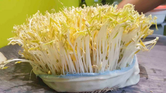Giá đỗ tăng cường khả năng phong the cho quý ông. Ảnh minh họa