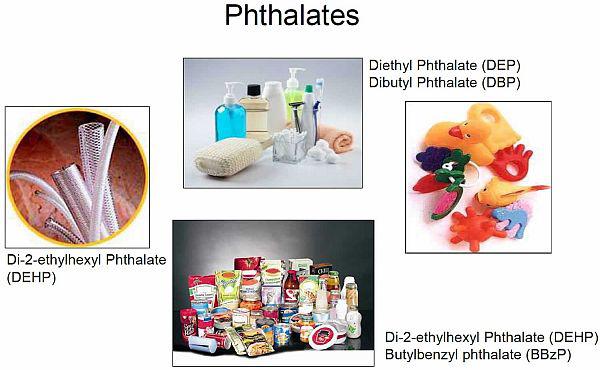 Phthalates (diester của acid phthalic) là nhóm chất dẻo hóa được sử dụng làm phụ gia trong các vật liệu bằng nhựa