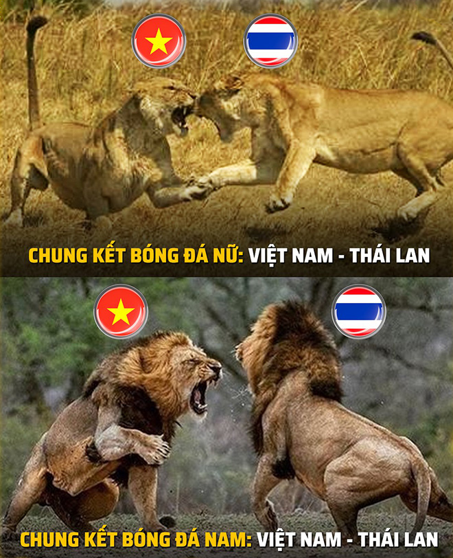 SEA Games vẫn là cuộc cạnh tranh của Việt Nam - Thái Lan.