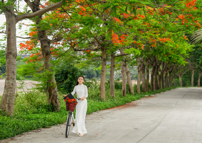 Mỗi mùa phượng nở, các thiếu nữ lại đua nhau chụp ảnh nghệ thuật bên loài hoa rực rỡ này. 
