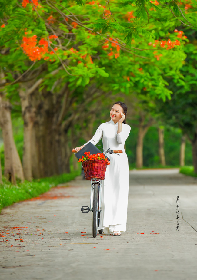 Diện áo dài trắng thướt tha, Hồng Nhung gây ấn tượng với vẻ đẹp dịu dàng, trong sáng dưới những chùm phượng đỏ ngợp trời.&nbsp;
