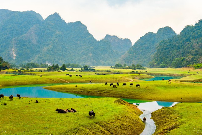 Ngẩn ngơ trước cảnh &#34;non nước hữu tình&#34; của thảo nguyên Đồng Lâm ở Lạng Sơn - 3