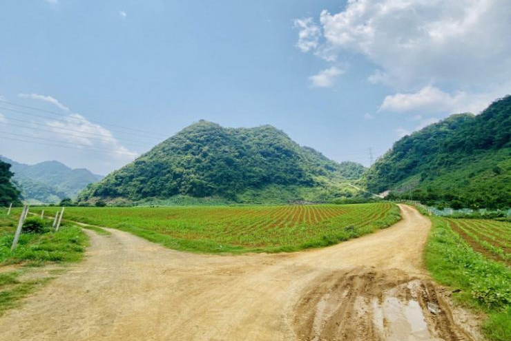 Chuyên án giải cứu cháu bé bị bắt cóc và hành trình truy tìm "bóng ma" (P1): Vụ mất tích bí ẩn