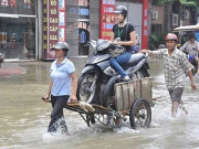 Tranh vui - Hài hước với những hình ảnh &quot;bi hài&quot; trong mùa ngập lụt