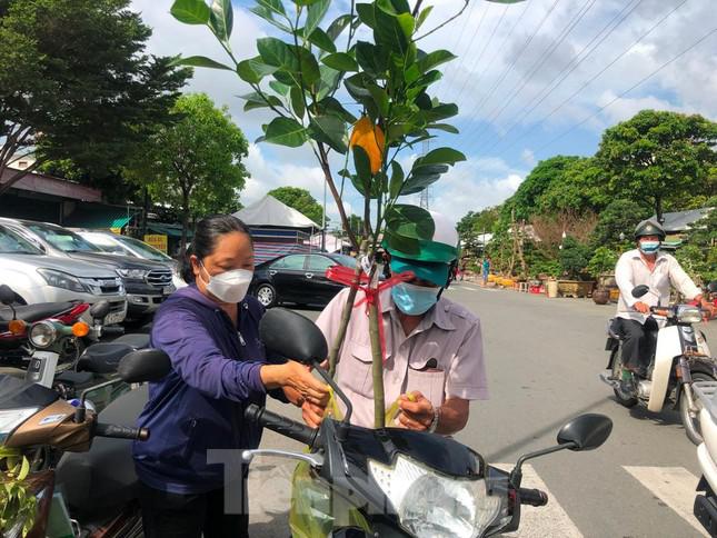 Người dân mua cây giống tại hội chợ để trồng trong vườn nhà, giá cực rẻ chỉ từ 30.000 đồng/cây