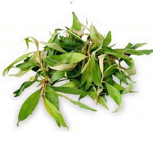 Bầu lỡ ăn rau răm có sao không? (Ảnh minh họa)