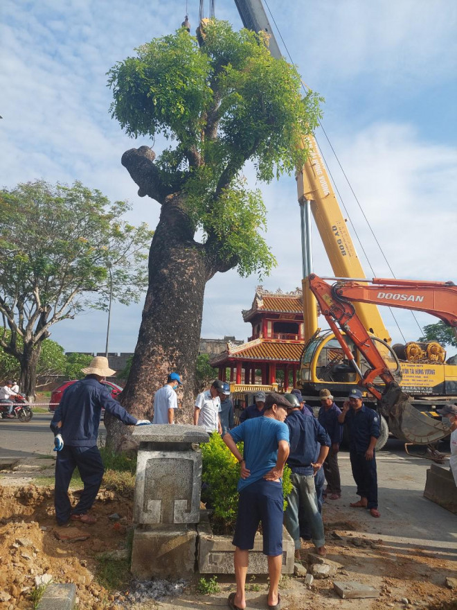 Phải sử dụng xe chuyên dụng