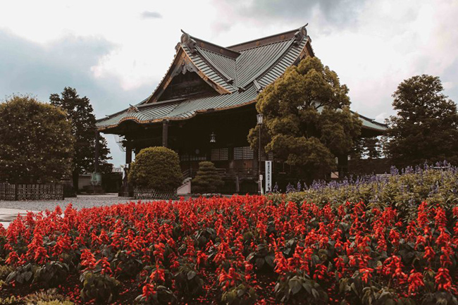 Narita là một thành phố thuộc tỉnh Chiba, Nhật Bản. Mùa hè ở Narita rất đẹp với những sắc hoa nở bung rực rỡ. Nếu đã đến Narita bạn nhất định phải ghé thăm đền Naritasan Shinshoji. 
