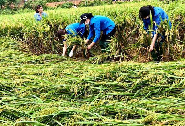 Bên cạnh đó, đoàn viên thanh niên phối hợp với lực lượng chức năng tuyên truyền thực hiện các biện pháp phòng, tránh lũ... Trong ảnh là hoạt động hỗ trợ, khắc phục hậu quả mưa lũ tại Tuyên Quang.